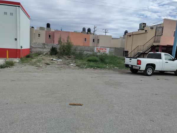 Terreno en renta en La Dalia Oriente, Torreón, Coahuila de Zaragoza Terreno en renta en La Dalia Oriente, Torreón, Coahuila de Zaragoza