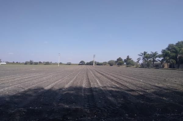 TERRENO EN VENTA EN QUINTANARES, PEDRO ESCOBEDO