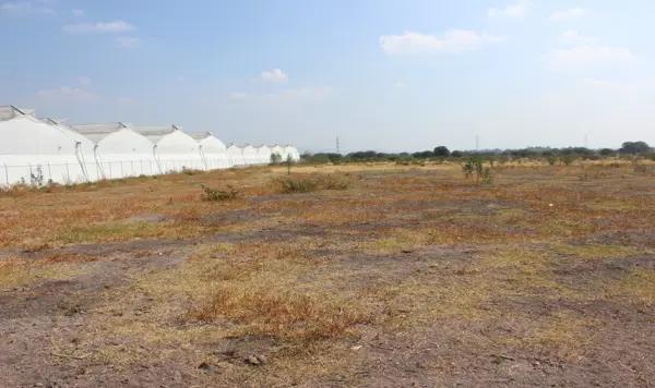 TERRENO EN VENTA EN PEDRO ESCOBEDO
