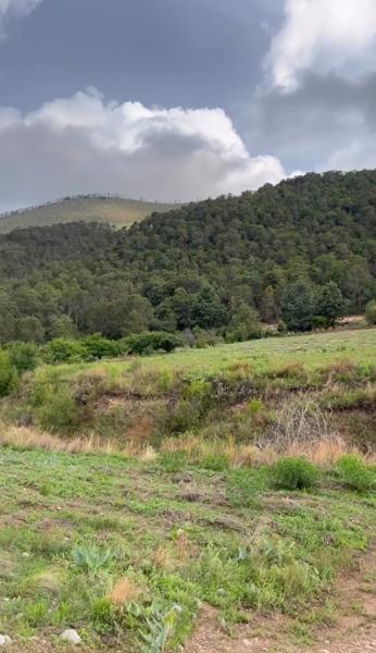 ¡Terrenos en venta en Ejido La Efigenia, Arteaga, Coahuila!