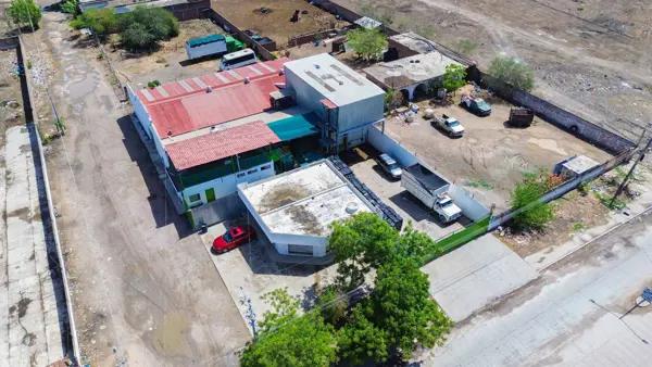 Empacadora de chile y hortalizas a la venta