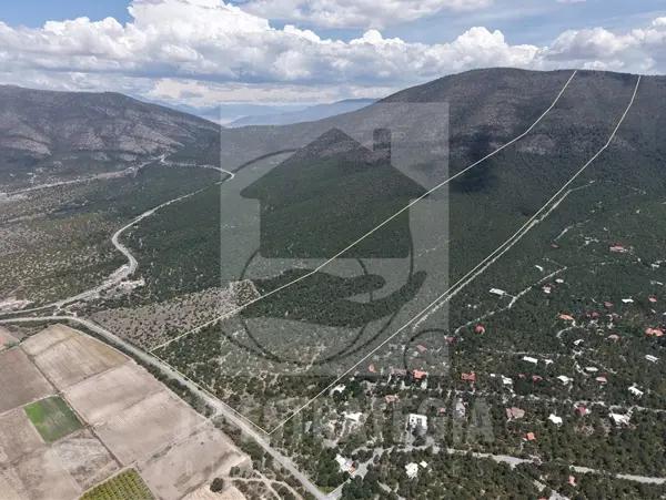 53 has de bosque a un costado de la Montaña, en Arteaga