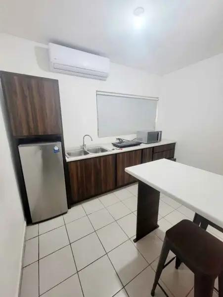 Departamento tipo estudio Col. Centro