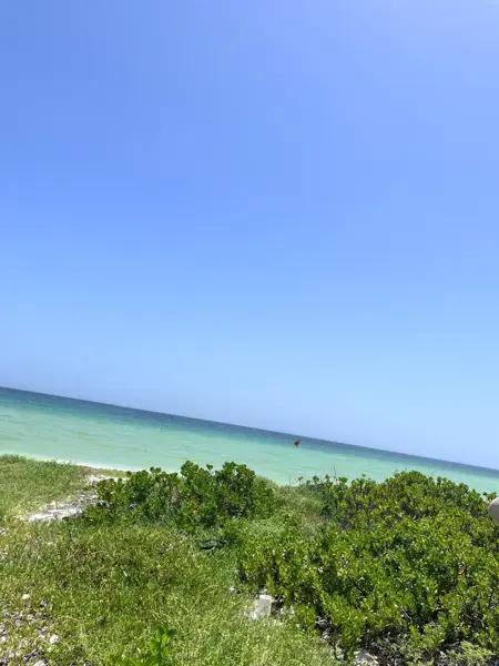 Terreno en Venta en San Benito, Yucatán a 180 metros de la Playa . Terreno en Venta en San Benito, Yucatán a 180 metros de la Playa .