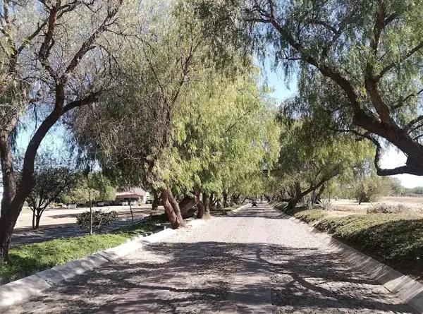 Terreno en venta en Balvanera Polo y Country Club, Corregidora, Querétaro