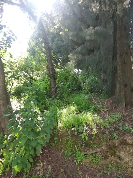 Terreno en venta en Nepantla de Sor Juana Inés de la Cruz, Tepetlixpa, México