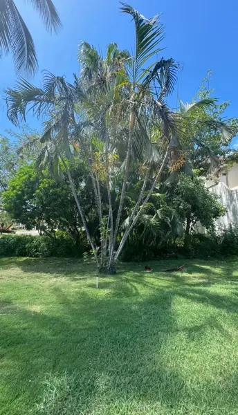 TERRENO EN VENTA ISLA DORADA