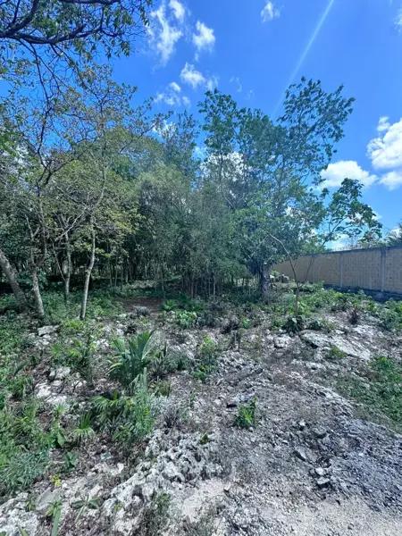 TERRENO  EN VENTA COL AVANTE