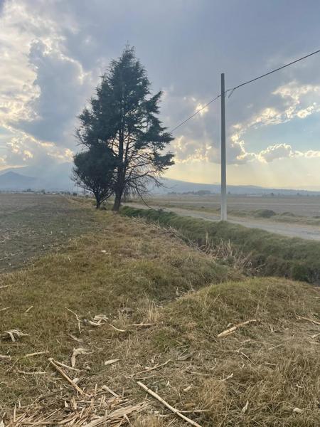 Terreno
