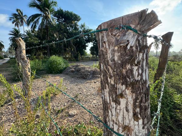 TERRENO RESIDENCIAL EN VENTA EN PLAYA, LÁZARO CÁRDENAS, MICHOACÁN