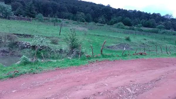 Terreno en Venta de 4225 m² en San Lorenzo Nenamicoyan, Jilotepec por $675,000