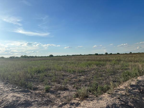 SE VENDE HECTÁREAS TORREON