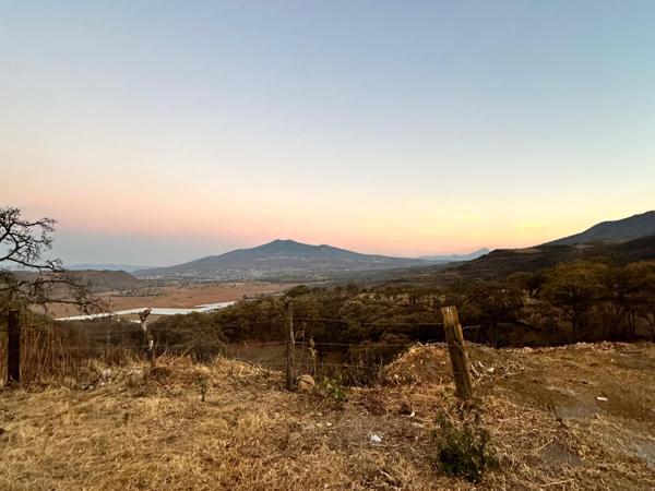 MACRO LOTE DE 27 HECTÁREAS EN CAPULA, MICHOACÁN