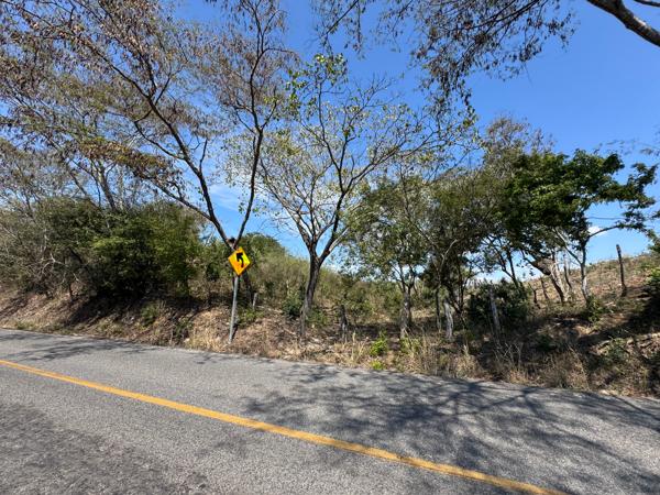 VENTA O RENTA 14 HECTÁREAS A PIE DE CARRETERA ENTRE SORCUA Y COYUQUILLA, GUERRERO
