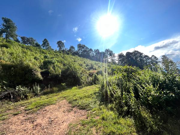 SE VENDEN 17 HECTÁREAS RÚSTICAS EN EL VAQUERITO EN CHARO MICHOACÁN