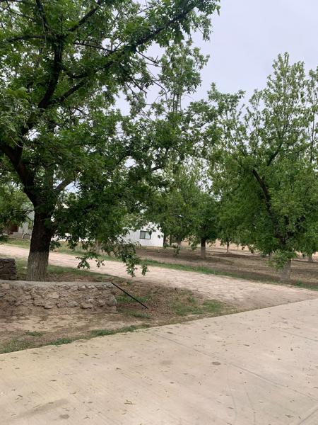 SE VENDE CASA DE CAMPO GÓMEZ PALACIO DGO