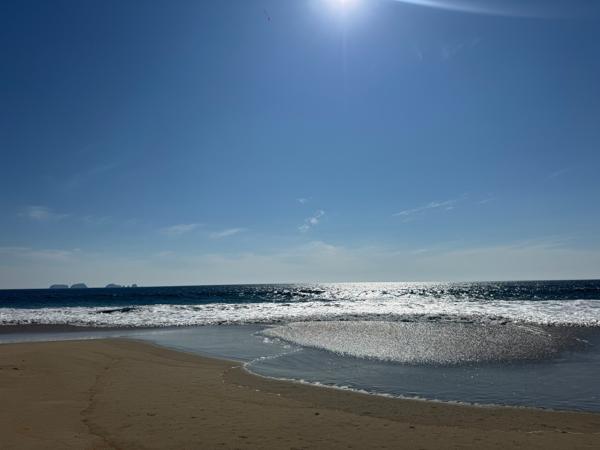 15 HECTÁREAS JUNTO AEROPUERTO INTERNACIONAL DE ZIHUATANEJO Y VISTA AL MAR