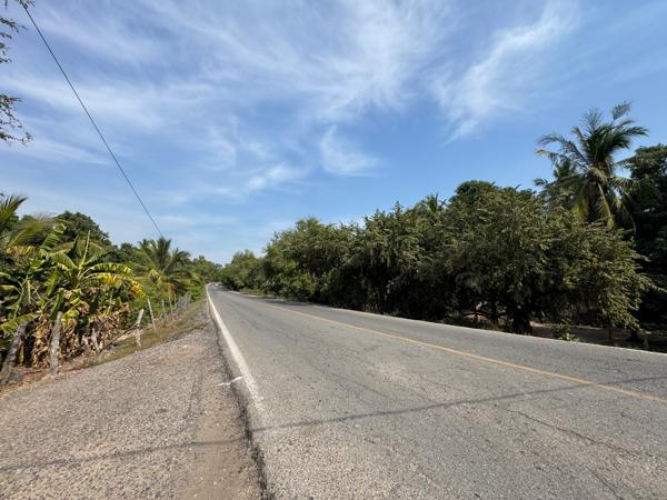 SE VENDEN 4.8 HECTÁREAS EN GUACAMAYAS, MICHOACÁN A PIE DE CARRETERA