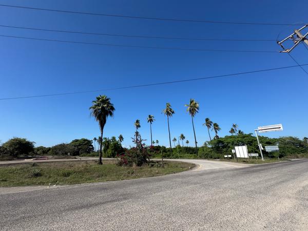 Terreno en venta y renta en Siderúrgica Lázaro Cárdenas Las Truchas, Lázaro Cárdenas, Michoacán de Ocampo Terreno en venta y renta en Siderúrgica Lázaro Cárdenas Las Truchas, Lázaro Cárdenas, Michoacán de Ocampo