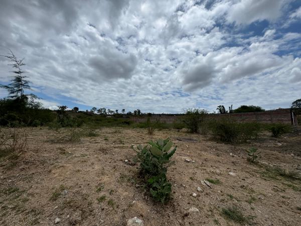 TERRENO SALIDA SALAMANCA POR EL TEC DE MORELIA