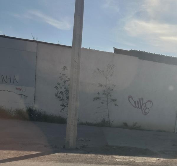 Bodega en renta en Matamoros Centro, Matamoros, Coahuila de Zaragoza