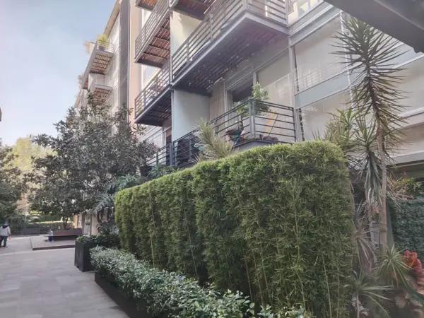 Colonia del Valle, Venta Departamento Pent - House con 3 Terrazas de 300 m²