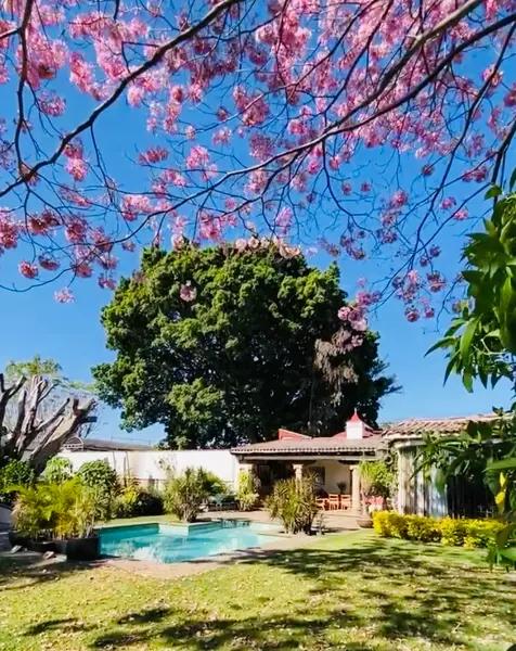 VENTA RESIDENCIA EN CUERNAVACA -San Jerónimo
$15´950,000 VENTA RESIDENCIA EN CUERNAVACA -San Jerónimo
$15´950,000