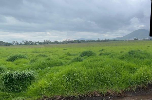 TERRENO USO DE SUELO MIXTO H250A EN ATLACOMULCO CERCA DE ESCUELAS HOSPITALES Y CENTRAL DE ABASTOS TERRENO USO DE SUELO MIXTO H250A EN ATLACOMULCO CERCA DE ESCUELAS HOSPITALES Y CENTRAL DE ABASTOS