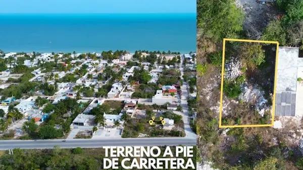 | Terreno en Venta ubicado en Chelem a 300 m del mar | | Terreno en Venta ubicado en Chelem a 300 m del mar |
