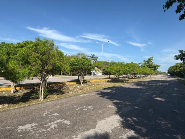 LOTE EN VENTA HABITACIONAL MULTIFAMILIAR EN FRACC ARRECIFES PLAYA DE CARMEN Q ROO