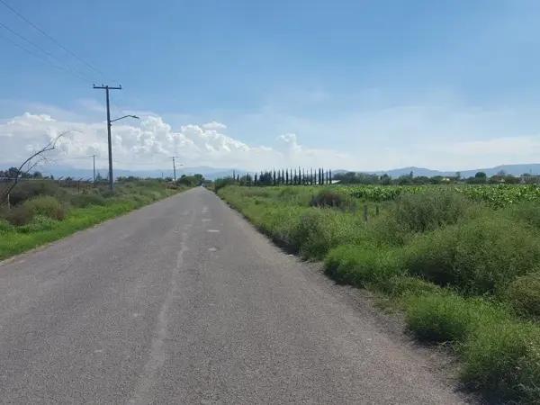 Terreno en venta en El Olivo, Matamoros, Coahuila de Zaragoza Terreno en venta en El Olivo, Matamoros, Coahuila de Zaragoza