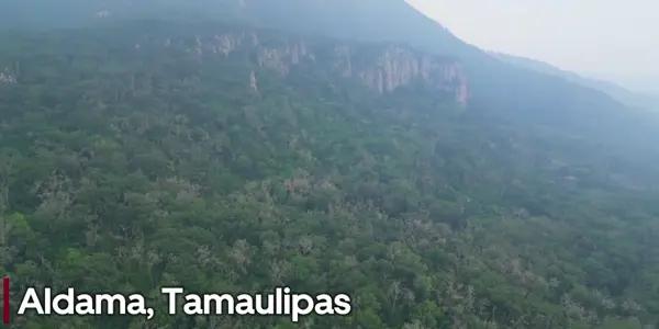 Terreno en venta en Aldama, Aldama, Tamaulipas Terreno en venta en Aldama, Aldama, Tamaulipas