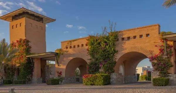 TERRENOS EN VENTA EN LA GRAN VINÍCOLA