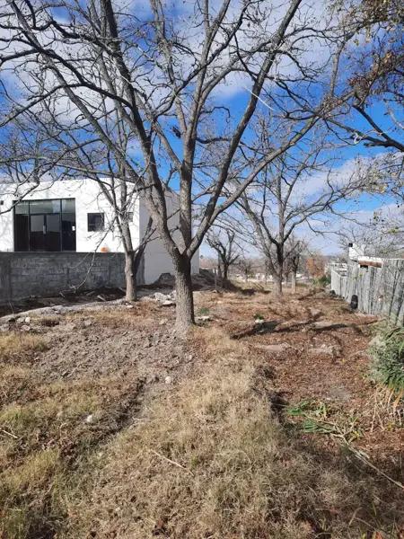 Terreno en Venta en Parras Zona Centro