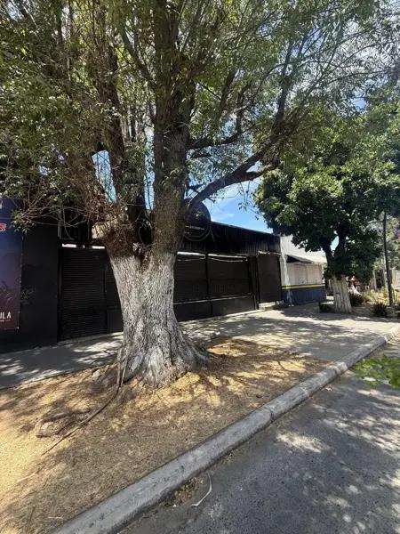 TERRENO EN VENTA EN AV. REVOLUCION