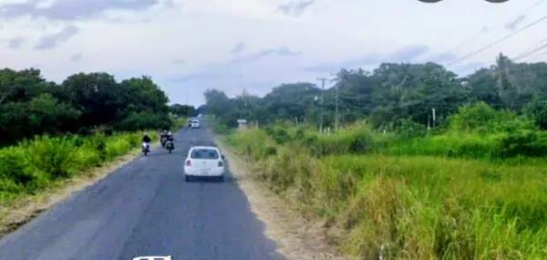 TERRENO LA LOCALIDAD DE LA VIBORA EN EL MUNICIPIO DE TLALIXCOYANVERACRUZ ORILLA DE CARRETERA TERRENO LA LOCALIDAD DE LA VIBORA EN EL MUNICIPIO DE TLALIXCOYANVERACRUZ ORILLA DE CARRETERA