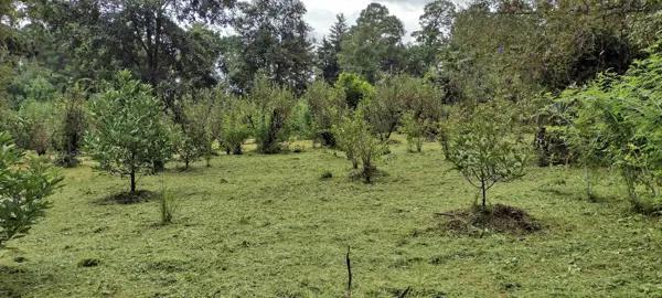 Terreno Residencial en Venta en Avándaro, Valle de Bravo