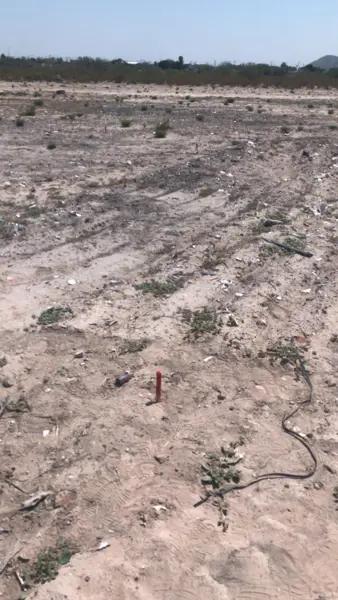 Terreno en venta en San Fernando, Lerdo, Durango Terreno en venta en San Fernando, Lerdo, Durango