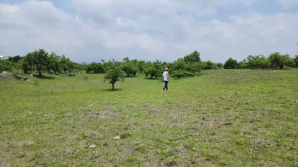 Terreno en venta 18,977 m2 Terreno en venta 18,977 m2