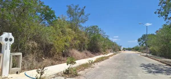 | Excelente oportunidad de terreno en venta. |