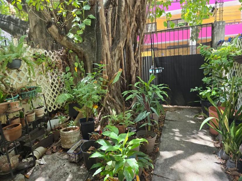 Foto 0 de Casa en venta en Tohoku, Solidaridad, Quintana Roo | Id nn-qv1000129