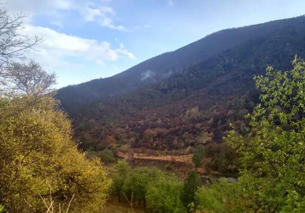Terreno en Venta en San Juan de los Dolores