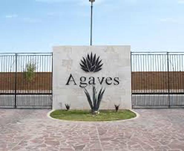 Terreno | Agaves | Las villas del Cardenchal