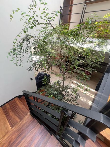 MINIMALISTA CASA NUEVA