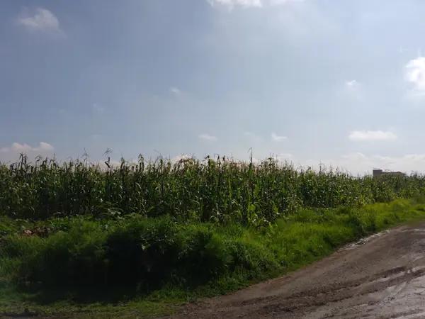 Terreno Terreno