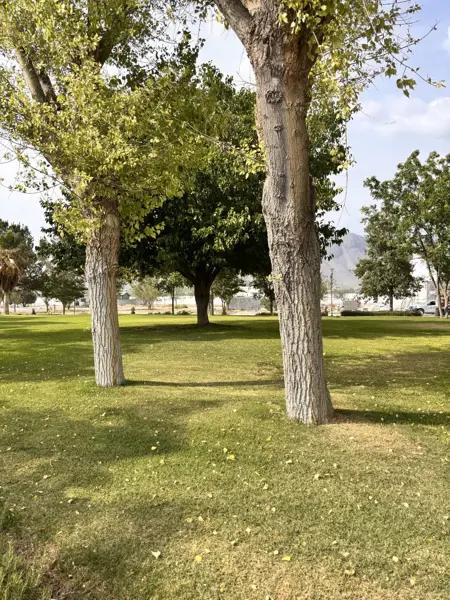 Terreno en Venta en La Joya Terreno en Venta en La Joya