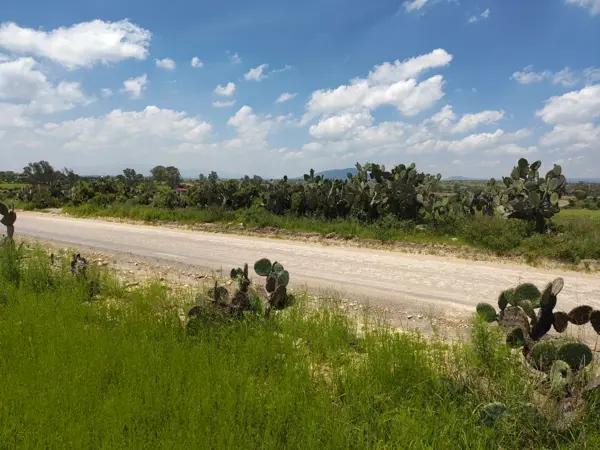 TERRENO EN VENTA EN SANTA BARBARA LA CUEVA, SAN JUAN DEL RIO, QRO.