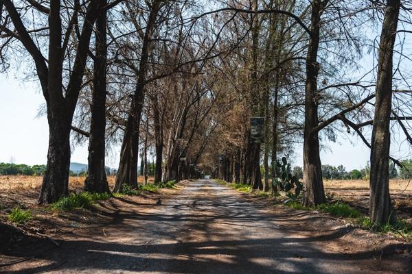 Terreno en Venta - Cañadas del Valle Querétaro Terreno en Venta - Cañadas del Valle Querétaro
