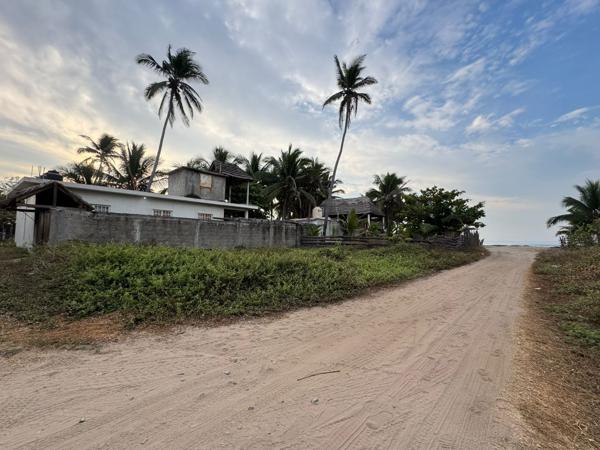 TERRENO ESPALDAS AL MAR EN PLAYA AZUL MICHOACÁN