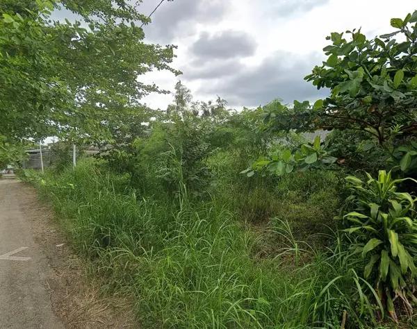 TERRENO EN VENTA